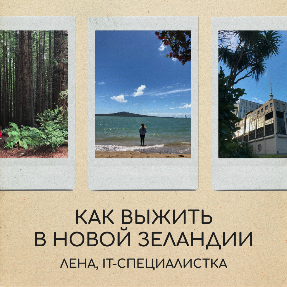 Что нужно знать о Новой Зеландии | Сетка — социальная сеть от hh.ru