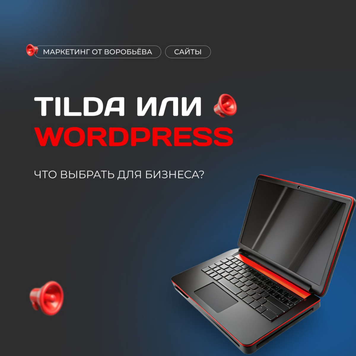 📌 Как выбрать платформу для лендинга: Tilda или WordPress? | Сетка — социальная сеть от hh.ru