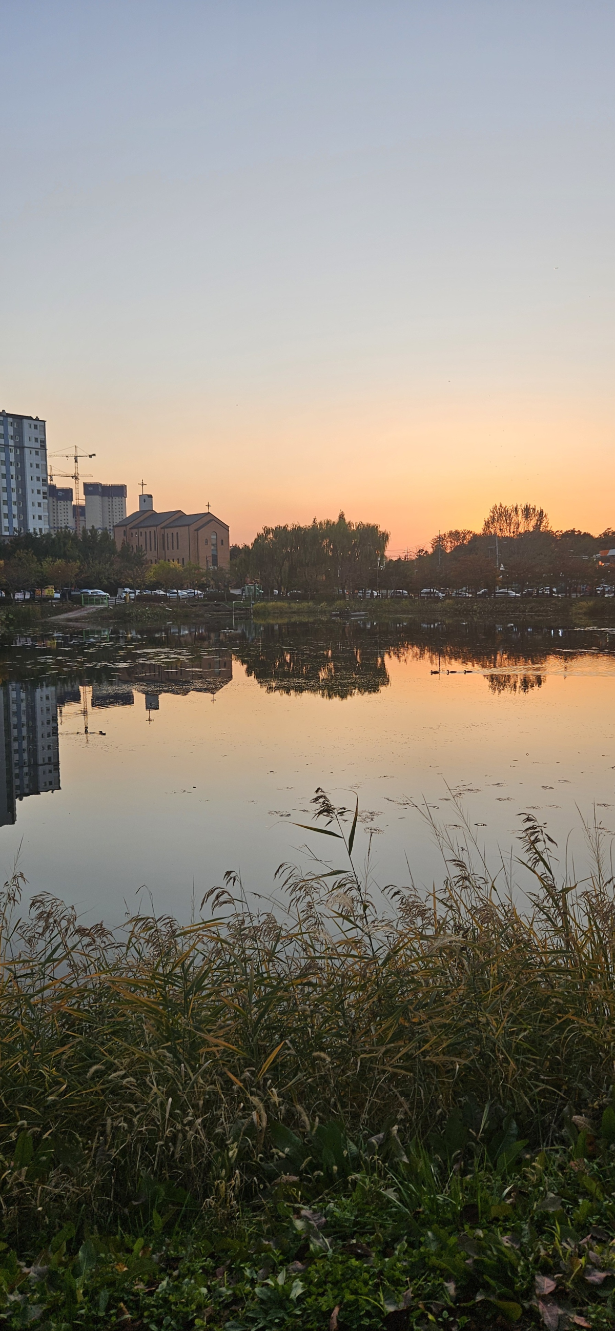 Никогда не вела инстик, так что фоточки будут в сетке
Это Корея. Небольшой город, в часе от Сеула. Тут тепло, 18 градусов | Сетка — социальная сеть от hh.ru