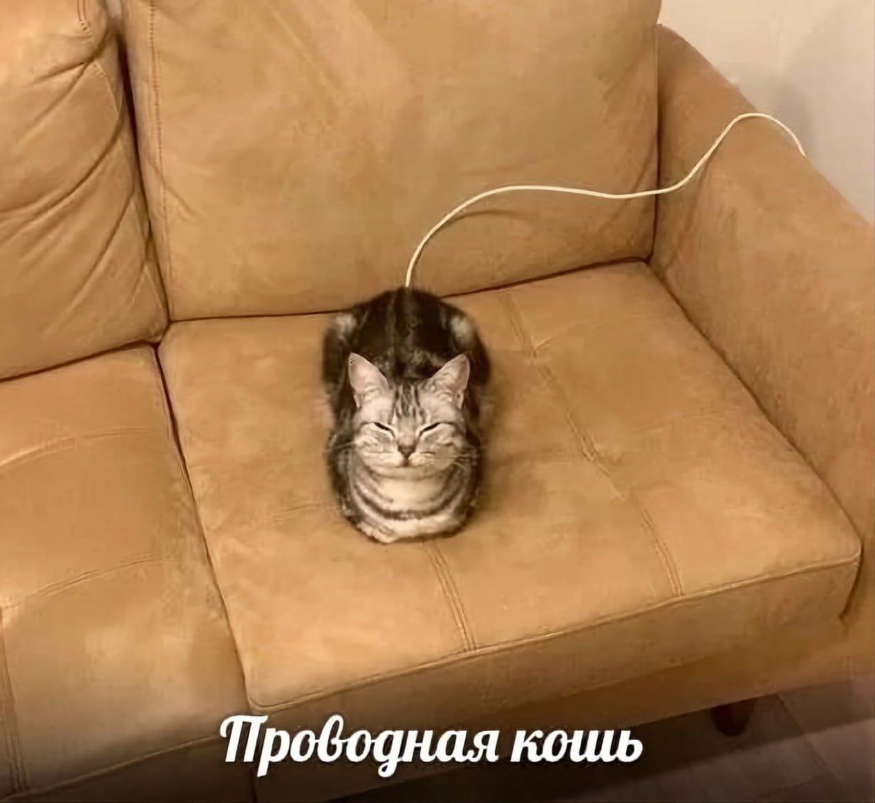 🚀@itaxaxa | Сетка — социальная сеть от hh.ru