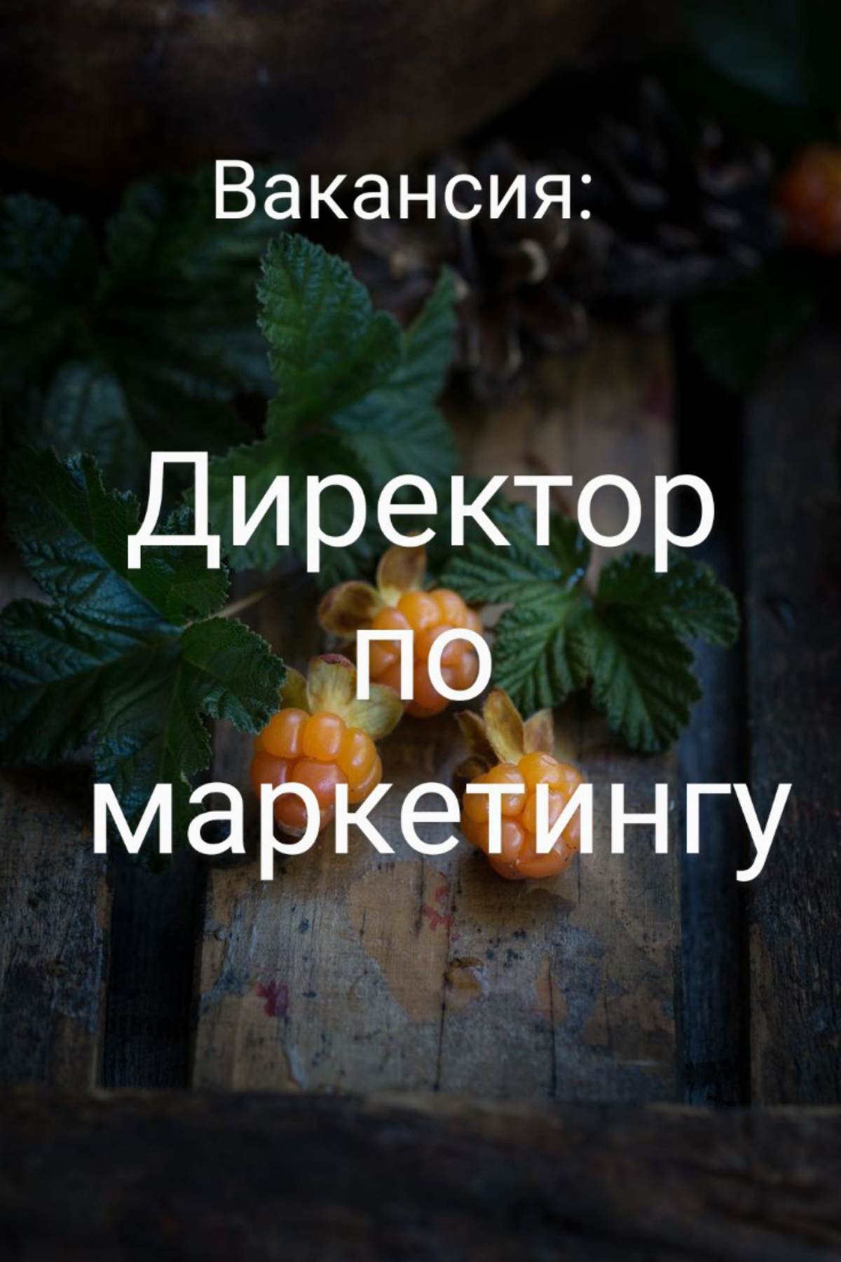 #ВАКАНСИЯ: директор по маркетингу
КОМПАНИЯ: Бренд домашнего декора Moroshka | Сетка — социальная сеть от hh.ru