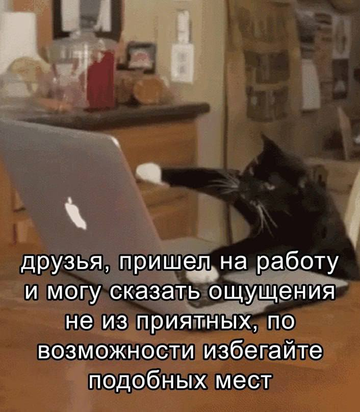 Типичный понедельник 😅 | Сетка — социальная сеть от hh.ru