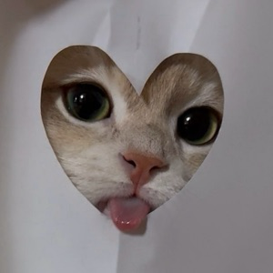 Kseniya Kantor | Сетка — социальная сеть от hh.ru