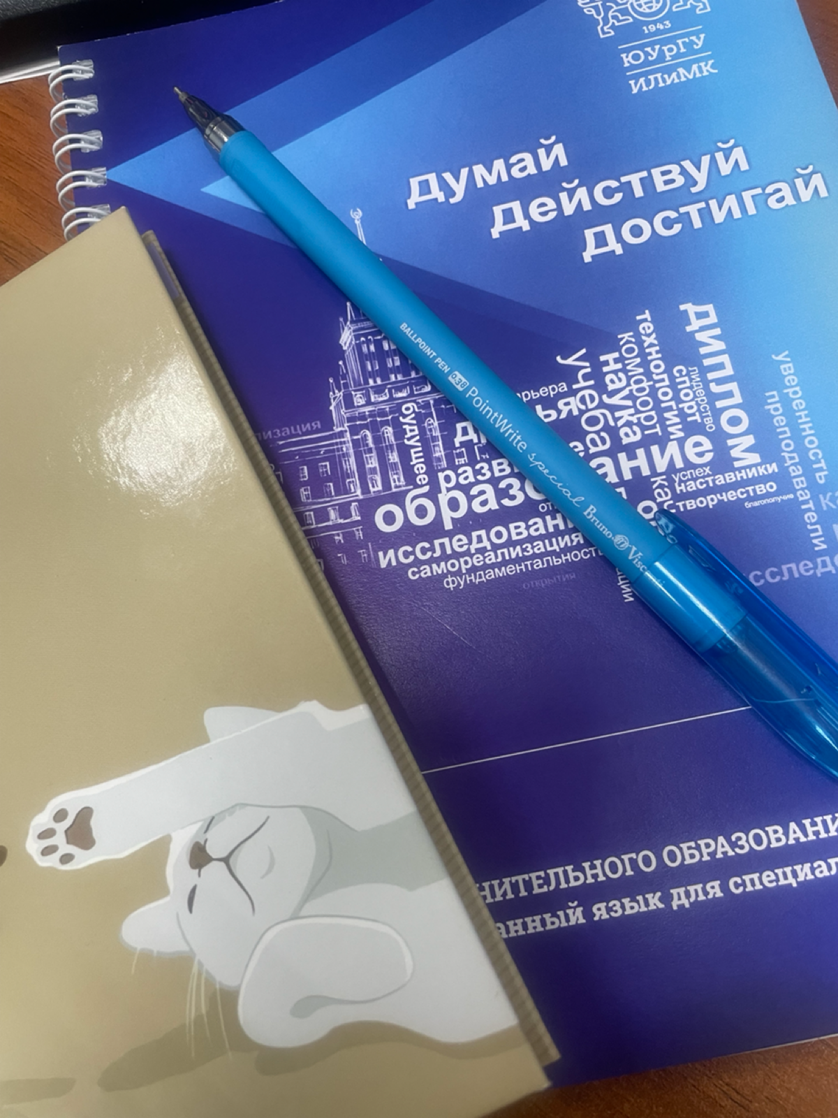 Я вернулась)
Просто теперь я еще и студент снова, поэтому времени теперь вообще не хватает… | Сетка — социальная сеть от hh.ru
