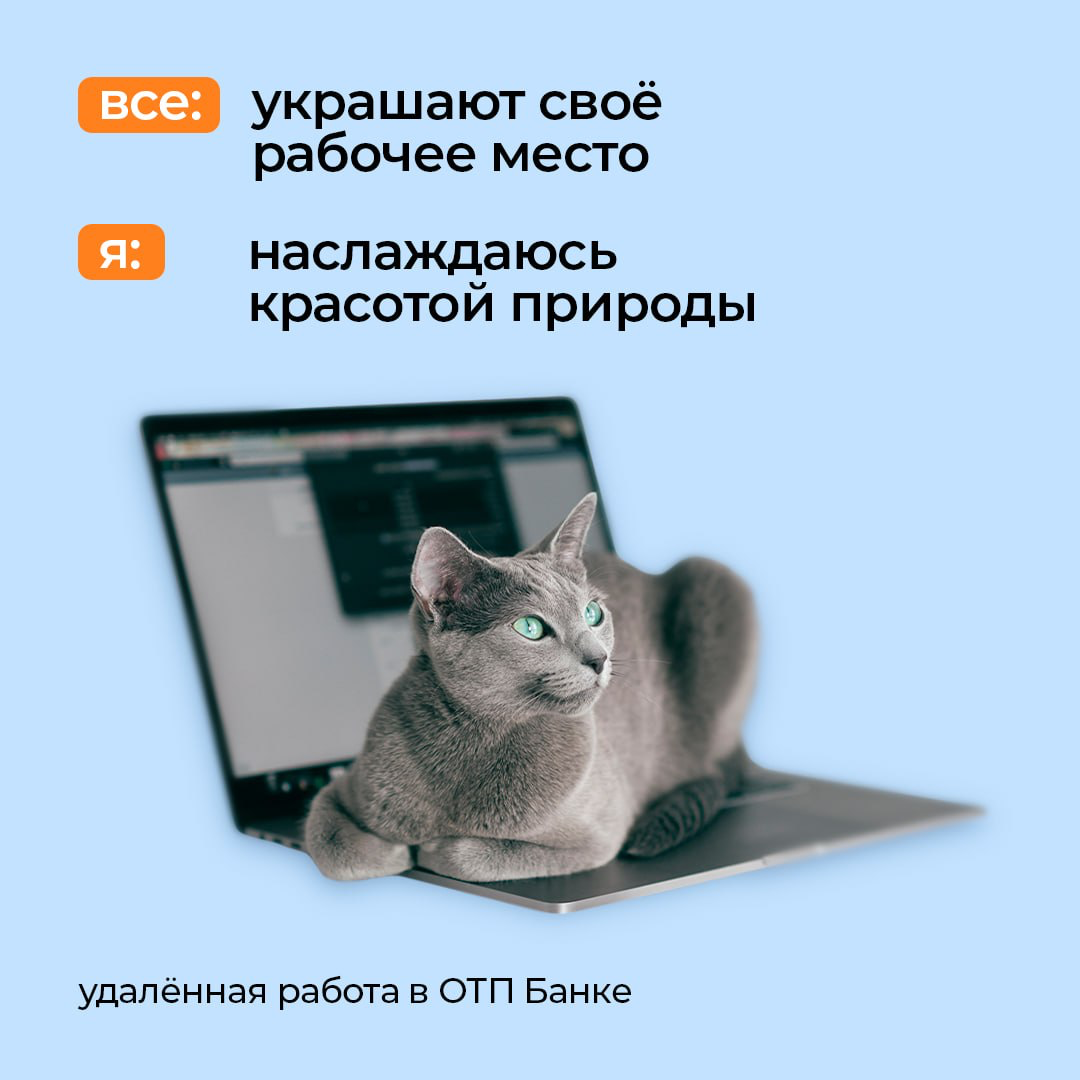 Работать в ОТП Банке в удалённом формате | Сетка — социальная сеть от hh.ru