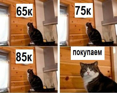 Ну всё, теперь каждый таксист, касир, мамкин инвестор будет говорить об этом, понимаете о чем речь ? 😅 | Сетка — социальная сеть от hh.ru