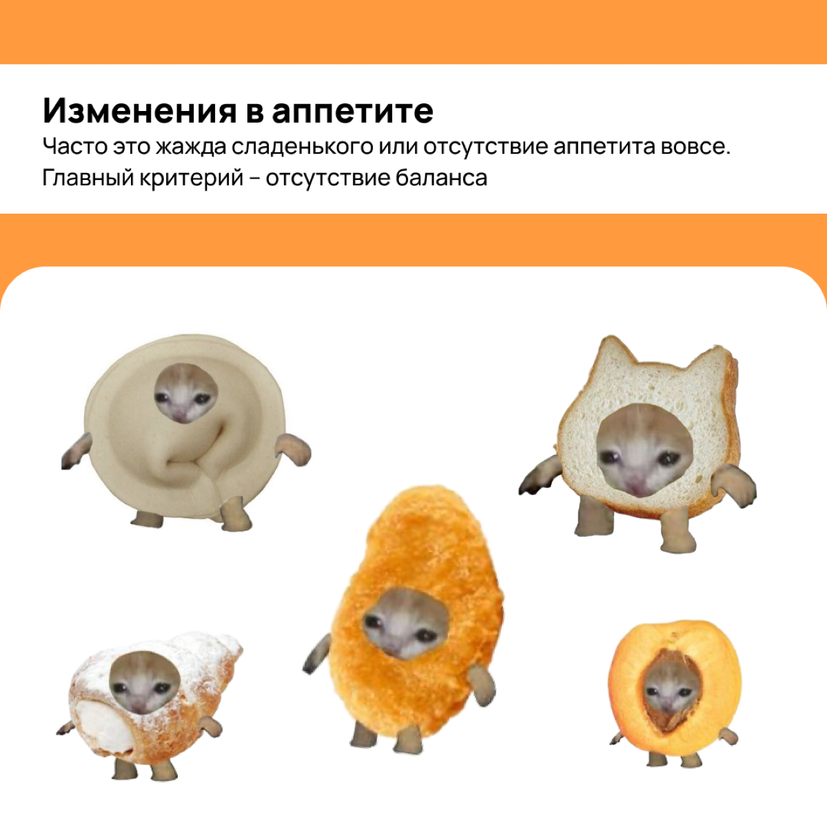 Я жил, я умер, я воскрес, но это не точно 💀 как понять, что ты находишь я в режиме выживания
А что с этим сделать – тут: https://vc | Сетка — социальная сеть от hh.ru