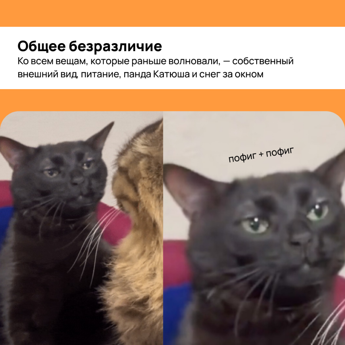 Я жил, я умер, я воскрес, но это не точно 💀 как понять, что ты находишь я в режиме выживания
А что с этим сделать – тут: https://vc | Сетка — социальная сеть от hh.ru