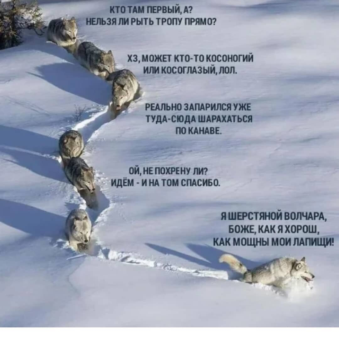 ### «В успешных коллективах люди не прячут мысли друг от друга. Они не боятся показать своё грязное бельё | Сетка — социальная сеть от hh.ru