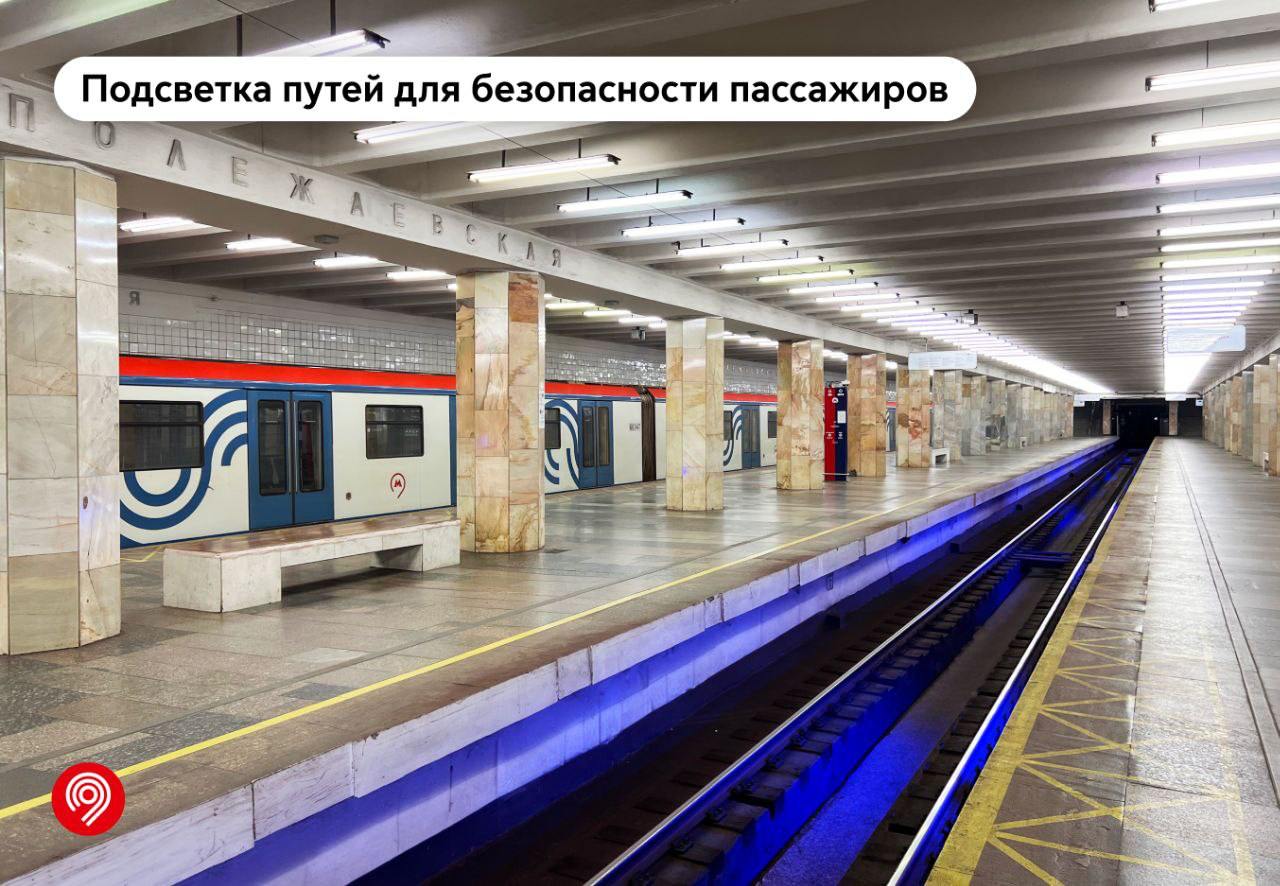 🚇 Синяя подсветка путей появилась на станции метро «Полежаевская» в Москве
Подсветка призвана повышать безопасность пассажиров на платформе, привлекая их внимание
📲Подпишитесь на Вдвижении | Сетка — социальная сеть от hh.ru