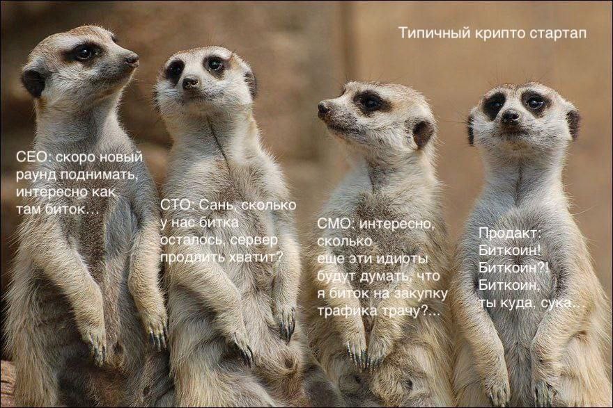 Тадааам! Результаты конкурса айтишников-юмористов!
Напомню, в условиях было собрать 3+ лайков на сообщении, до 5 человек | Сетка — социальная сеть от hh.ru