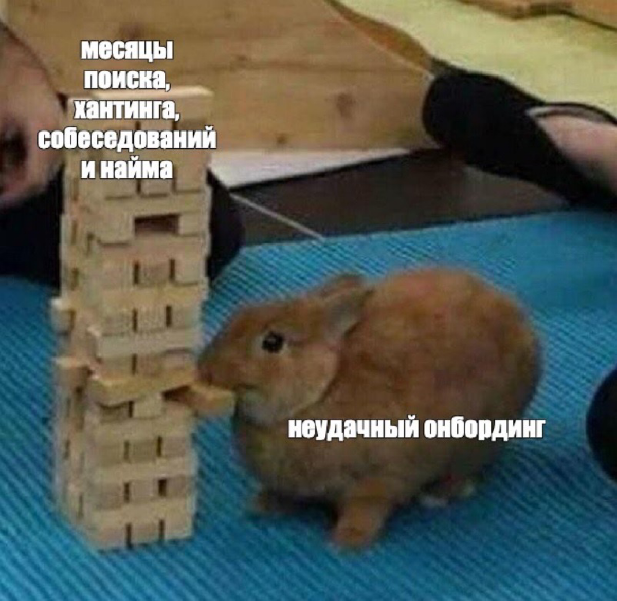 Про онбординг✨ | Сетка — социальная сеть от hh.ru