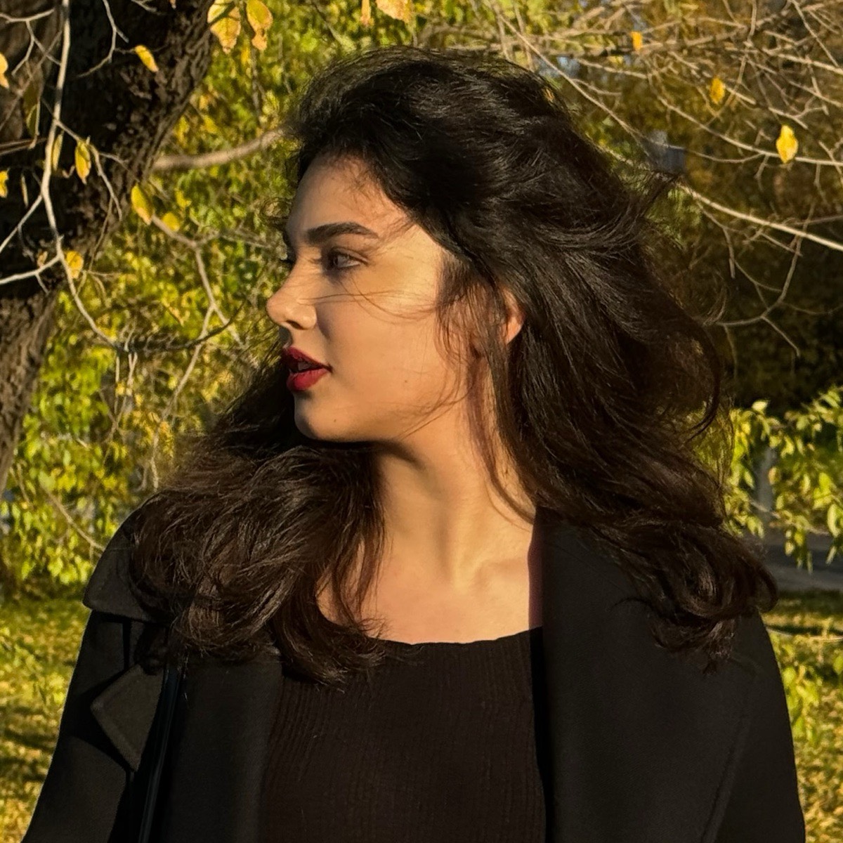 Network member avatar