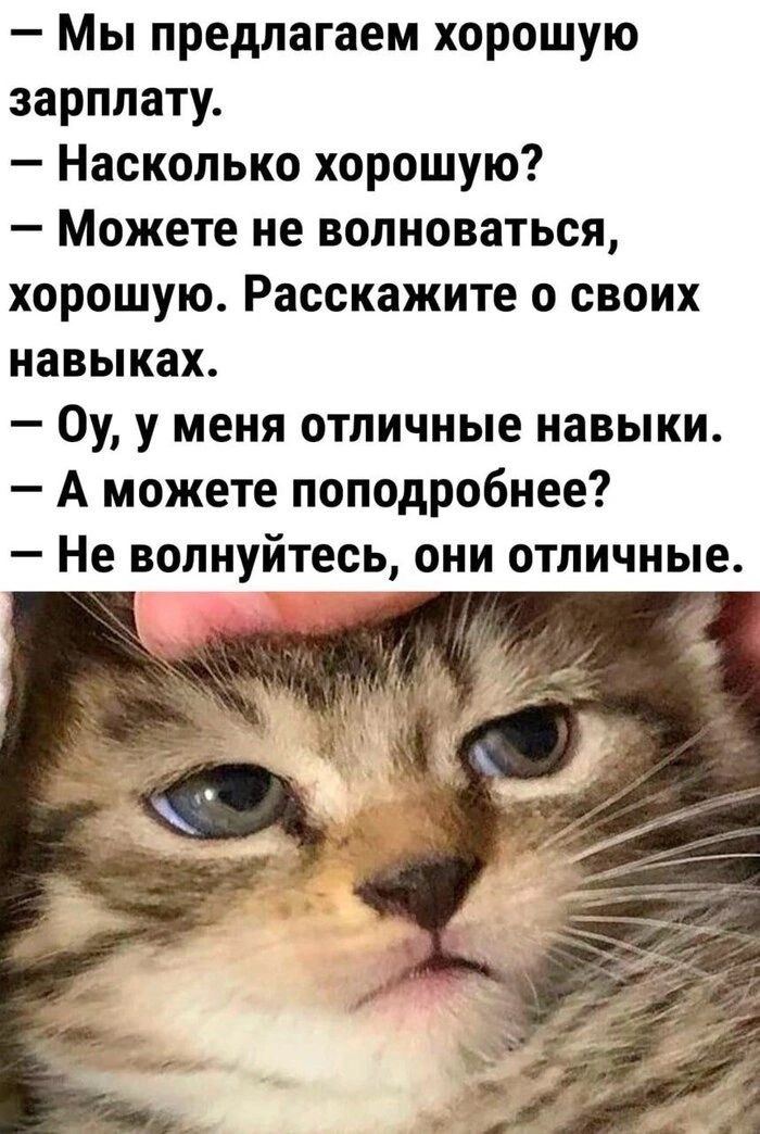 Я ненавижу и не умею вести переговоры о желаемой зп.
У меня сформировалась по итогу очень простая стратегия | Сетка — социальная сеть от hh.ru