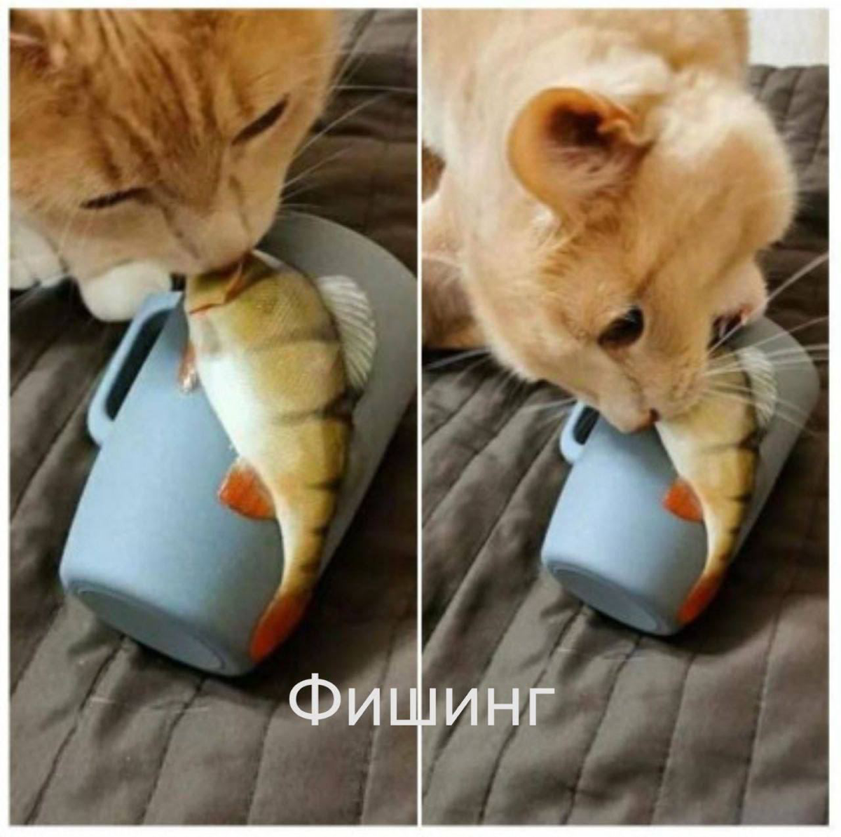 Что такое фишинг | Сетка — социальная сеть от hh.ru