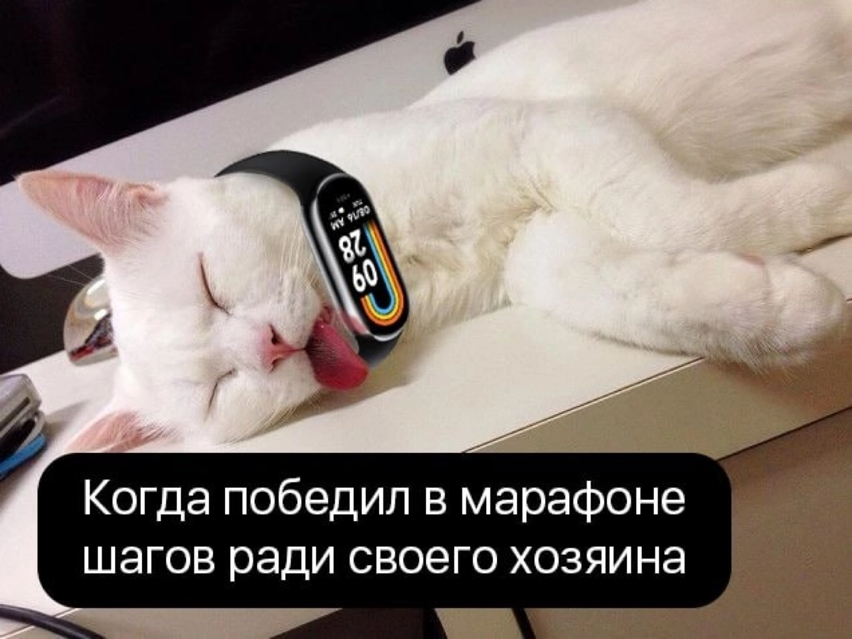 Вот и прошел очередной марафон шагов в Пруфтеке❤
В этот раз мы вместе преодолели 2 014 041 шагов 😱
Это была самая настоящая борьба, где встретились большое упорство и яркий азарт!!
В этот раз мы немно... | Сетка — социальная сеть от hh.ru