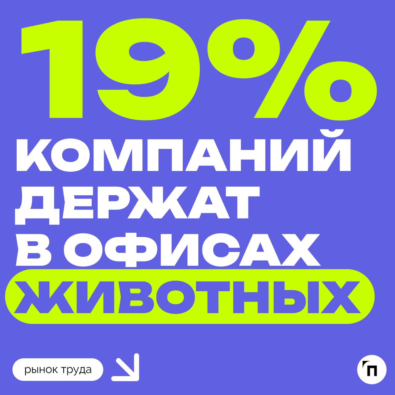 🐠 Рыбок, кошек, попугаев в офисах стало больше
В офисе каждой пятой компании живут рыбки, кошки и другие домашние животные. Каждый девятый работодатель заводит их целенаправленно | Сетка — социальная сеть от hh.ru