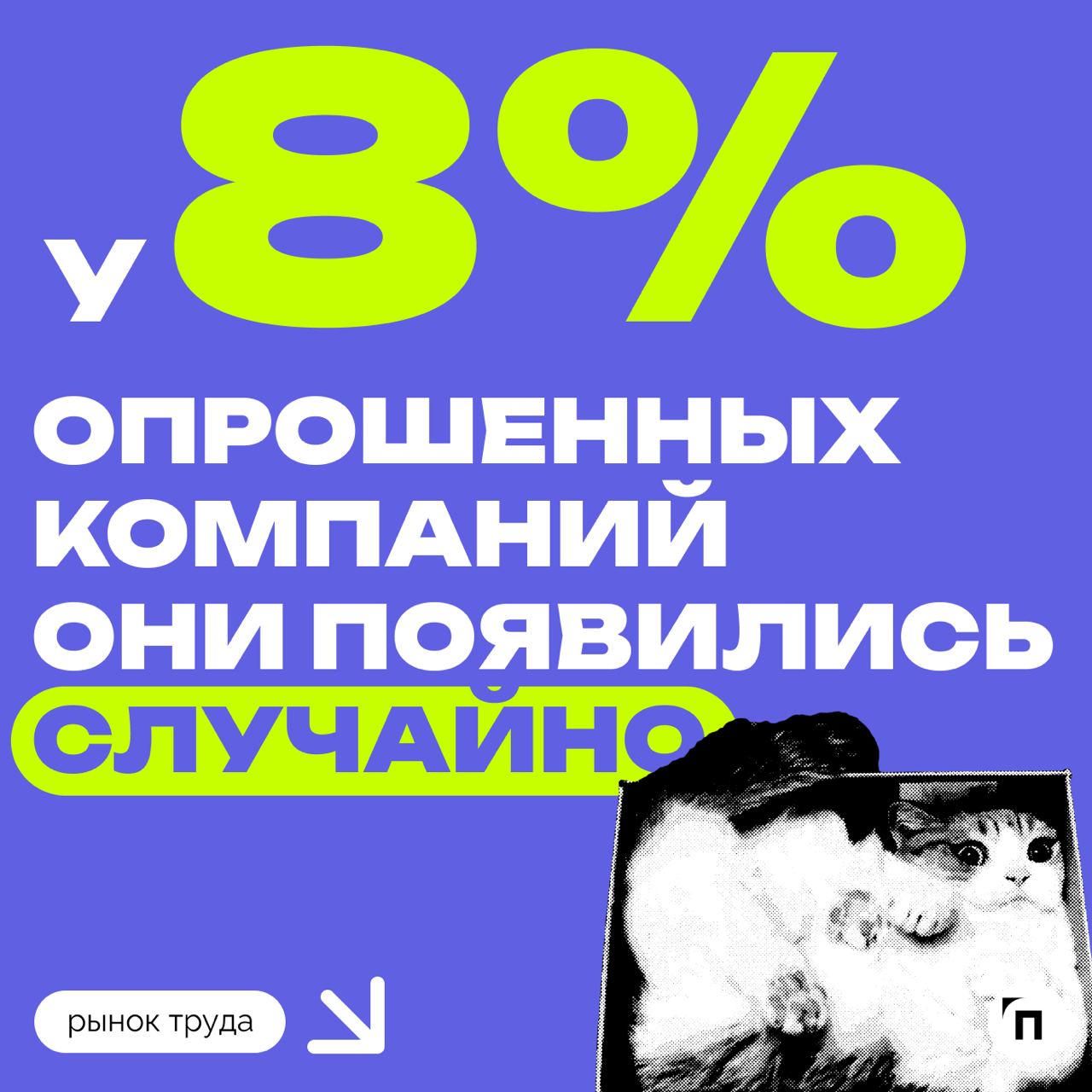 🐠 Рыбок, кошек, попугаев в офисах стало больше
В офисе каждой пятой компании живут рыбки, кошки и другие домашние животные. Каждый девятый работодатель заводит их целенаправленно | Сетка — социальная сеть от hh.ru