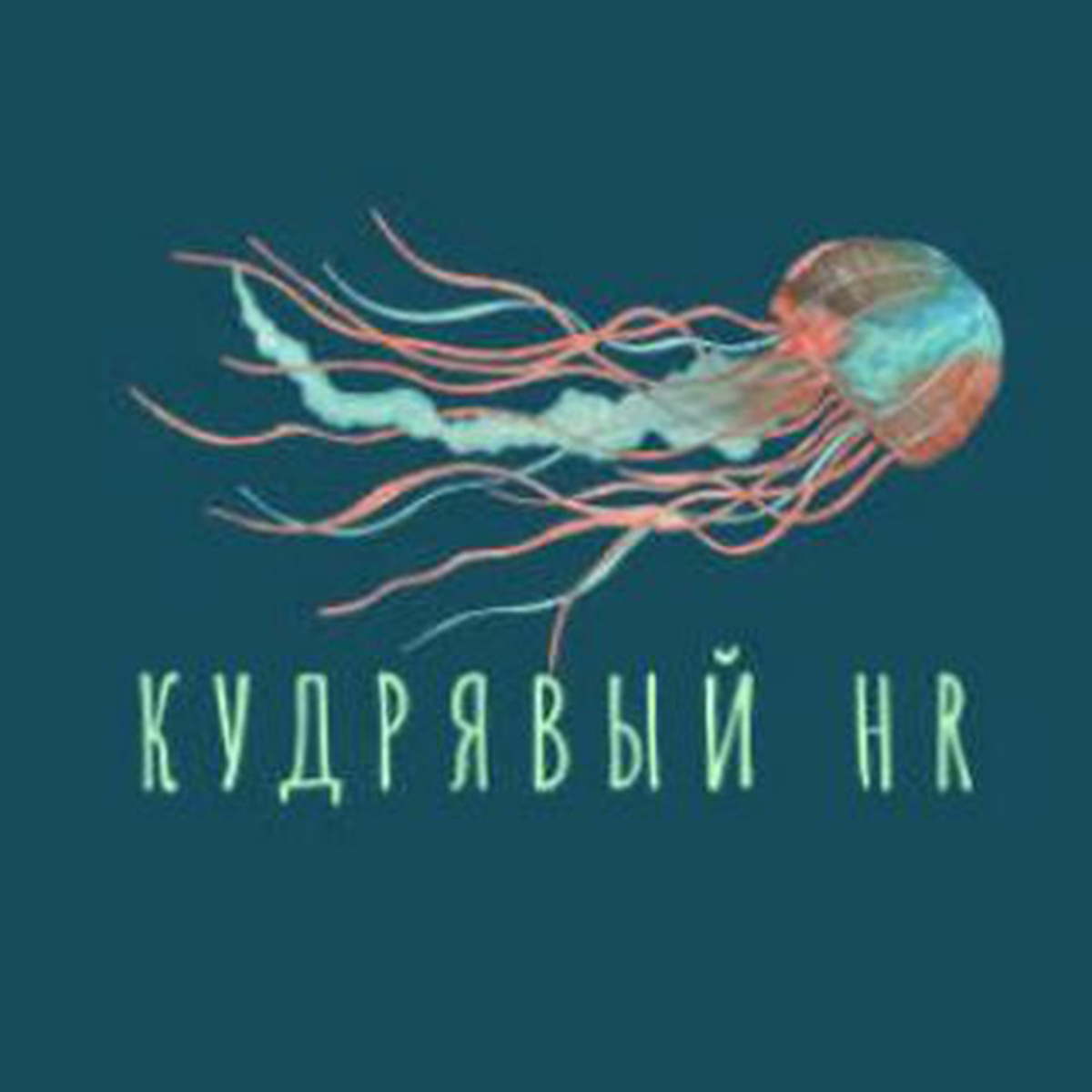 Кудрявый HR