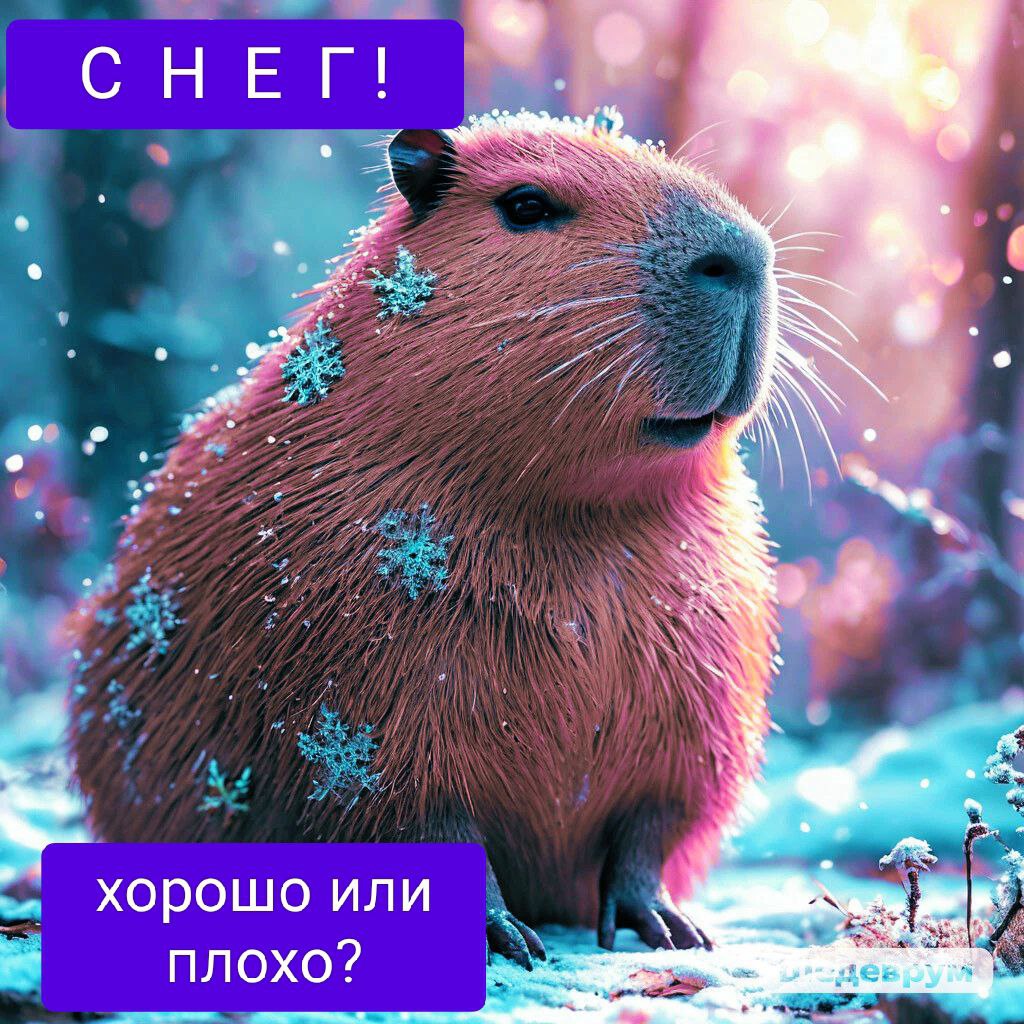 Добрый день! 💜
Сегодня утром был анонс зимы, ночью выпал снег. И мы увидели насколько приятнее на улице в это сумрачное время, когда лежит снег.
Я иногда думаю, что снег ещё тот антидепрессант | Сетка — социальная сеть от hh.ru