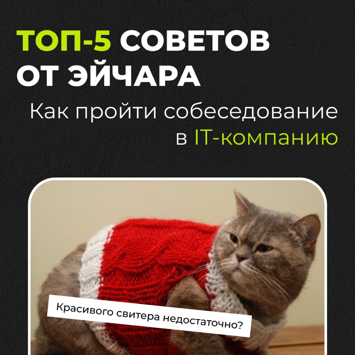 Как успешно пройти собеседование в IT? | Сетка — социальная сеть от hh.ru