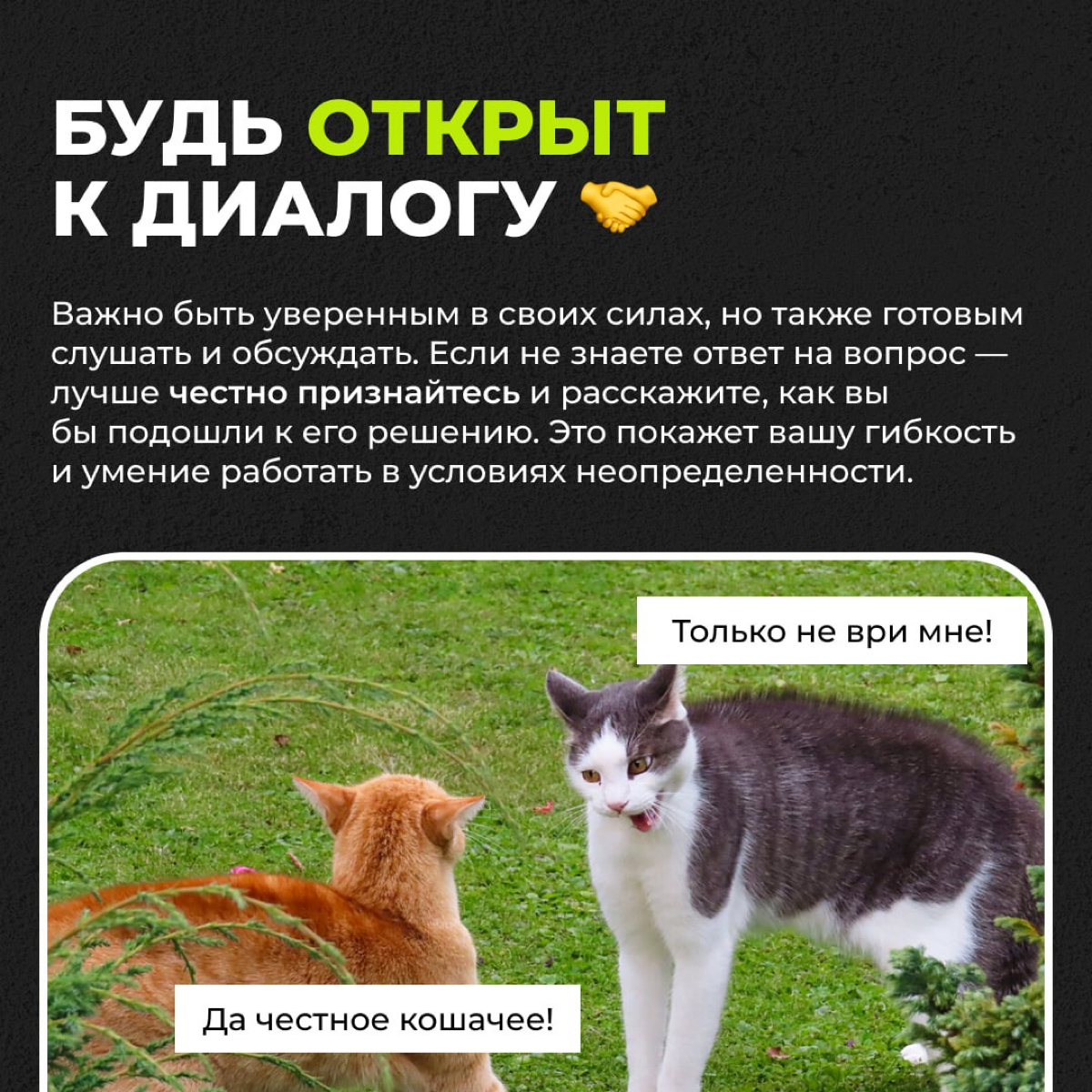 Как успешно пройти собеседование в IT? | Сетка — социальная сеть от hh.ru