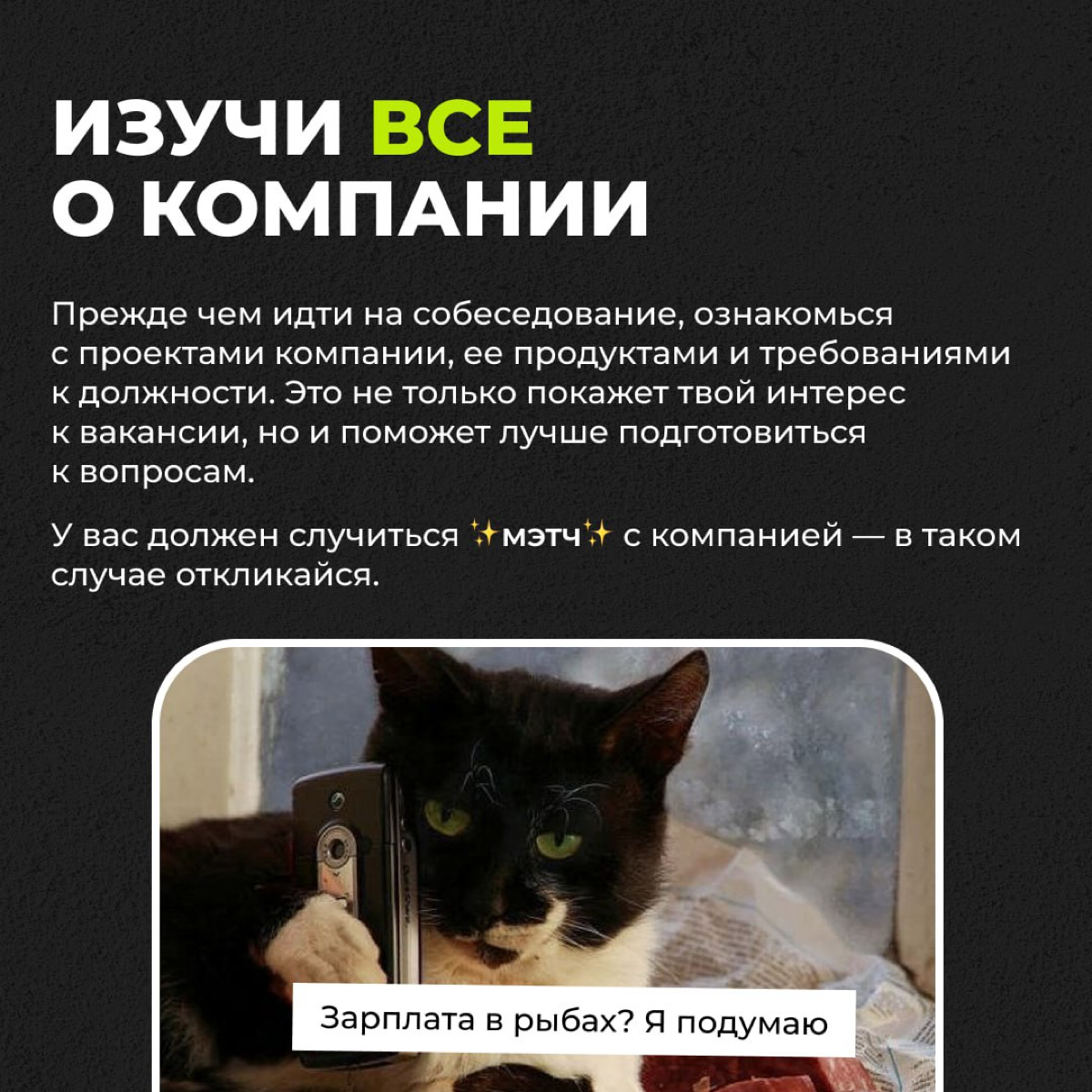 Как успешно пройти собеседование в IT? | Сетка — социальная сеть от hh.ru