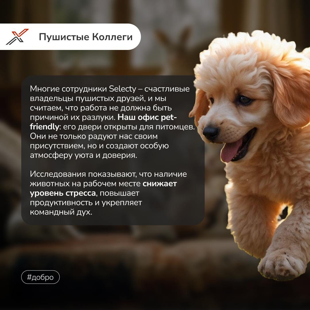 В современном бизнесе важно не только бить рекорды, но и приносить пользу окружающему миру!🌏  
В Selecty мы уверены, что добрые дела могут творить чудеса | Сетка — социальная сеть от hh.ru