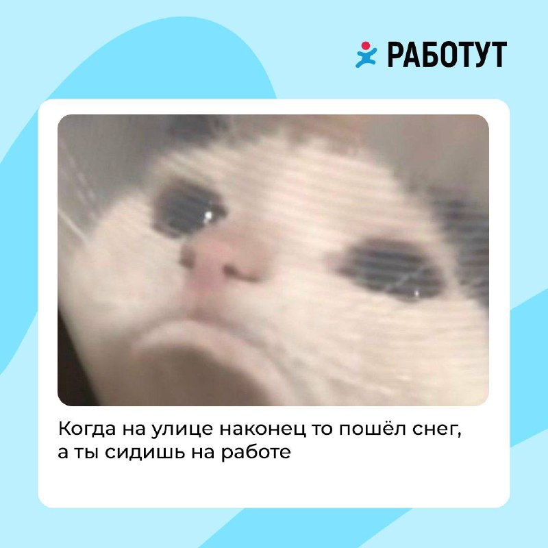 Сделали для вас подборку мемов, чтобы скрасить эти хмурые осенние дни 🍁
Какой понравился больше всего? Пиши в комментариях 👇🏻
#мемыработут | Сетка — социальная сеть от hh.ru