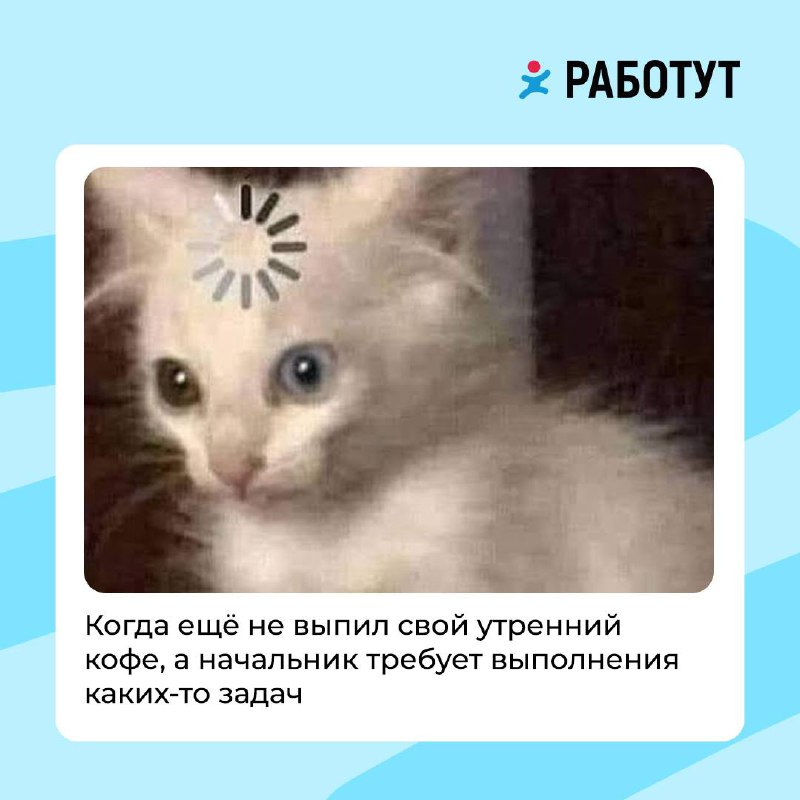 Сделали для вас подборку мемов, чтобы скрасить эти хмурые осенние дни 🍁
Какой понравился больше всего? Пиши в комментариях 👇🏻
#мемыработут | Сетка — социальная сеть от hh.ru