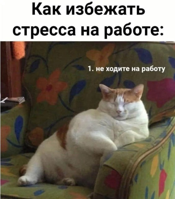 -ШТАНИШЕК НЕТ!
в общем оффтоп закидываю одно из ситуаций, когда нестандартные проблемы для нас уже стали стандартными вторниками и не забываем про мораль в конце | Сетка — социальная сеть от hh.ru