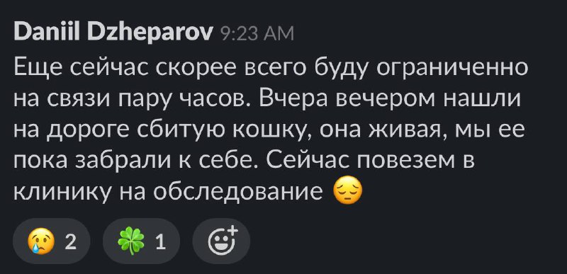 Необычное начало дня
Сегодня рабочий день пришлось начать с необычного сообщения в рабочий чатик.
Вчера гуляли вечером и на дороге увидели лежащую без движения кошку | Сетка — социальная сеть от hh.ru