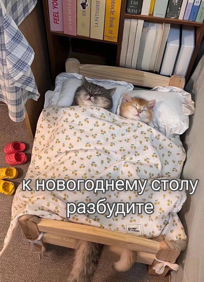 Наше рабочее настроение в середине ноября 😨
➡️ отправь в телеге мем коллеге | Сетка — социальная сеть от hh.ru