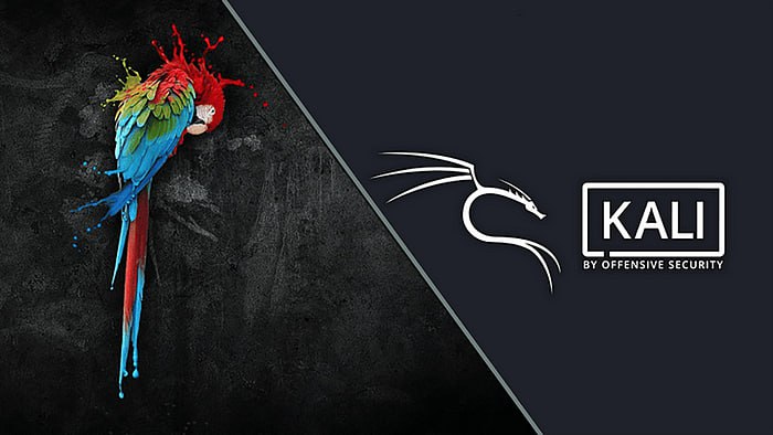 Kali Linux и Parrot OS
https://habr.com/ru/articles/858318/ | Сетка — социальная сеть от hh.ru