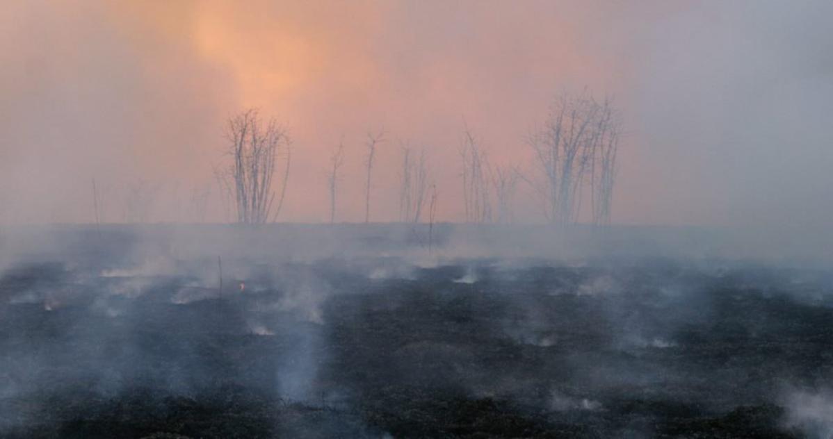 Пещерный человек внутри | Сетка — социальная сеть от hh.ru