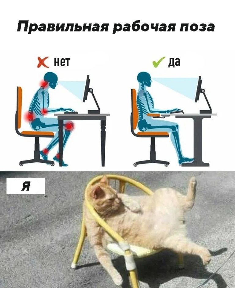 Как любите сидеть за столом? | Сетка — социальная сеть от hh.ru