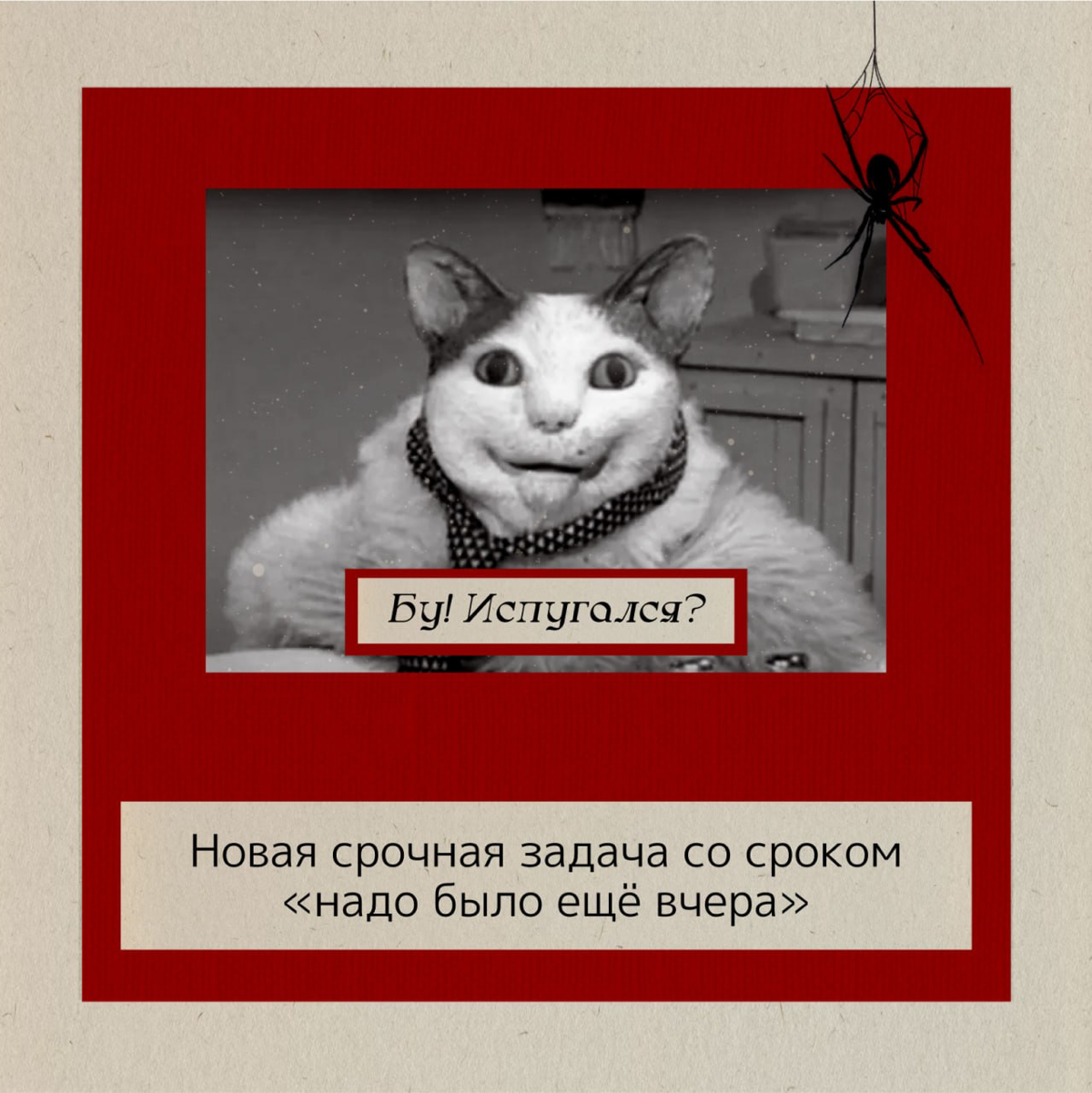 Немного юмора 😂 | Сетка — социальная сеть от hh.ru