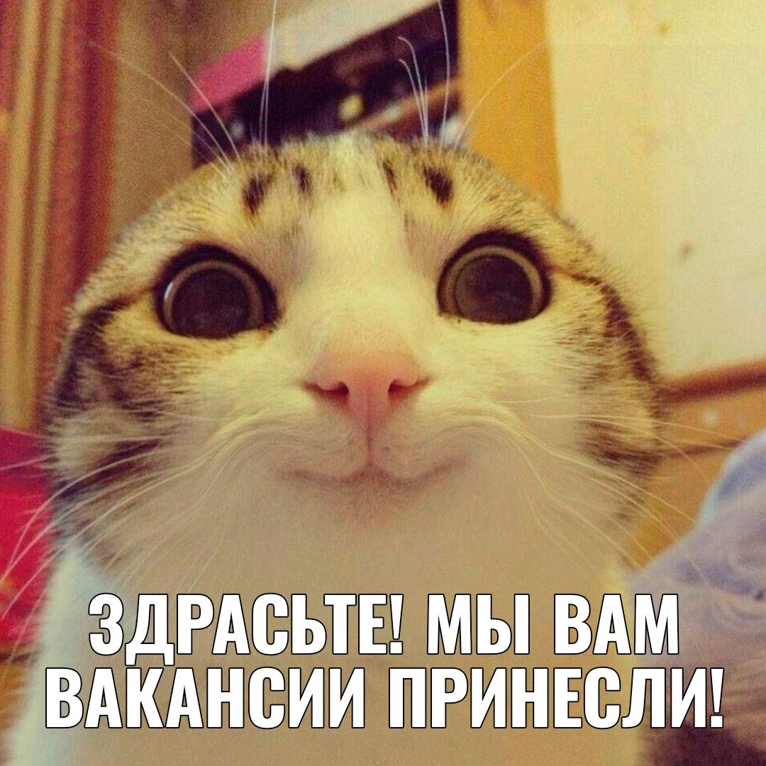 Дайджест крутых вакансий для крутых спецов заказывали?
Впрочем, он уже здесь! Откликайтесь 😀
🔋 Frontend Developer в социально значимые сервисы, Москва или удалённо
Любите разнообразие задач и хотите с... | Сетка — социальная сеть от hh.ru