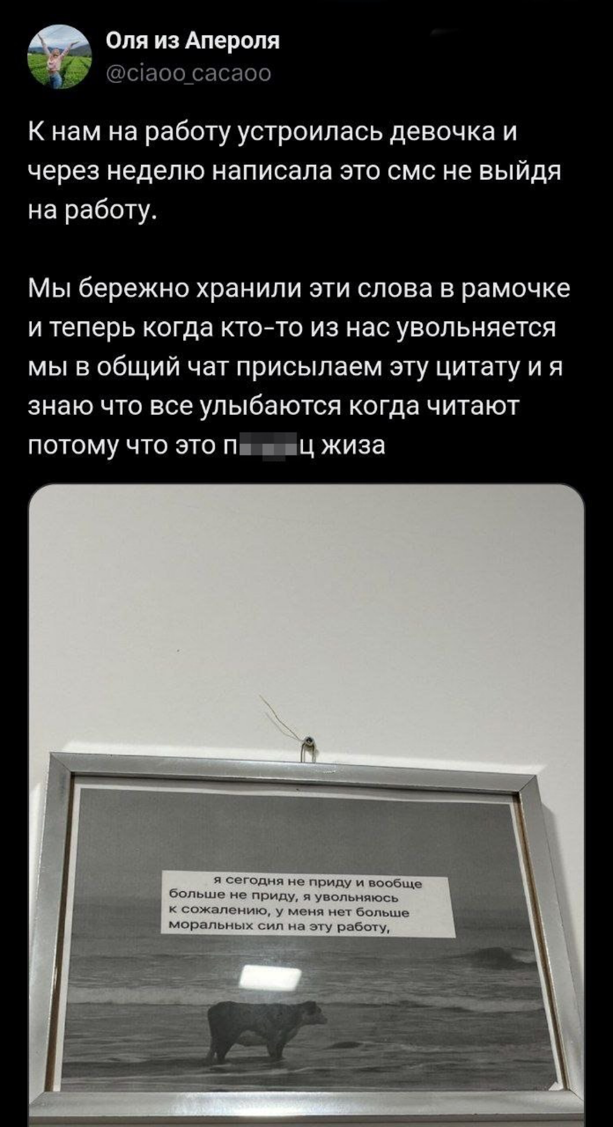 так и живем | Сетка — социальная сеть от hh.ru