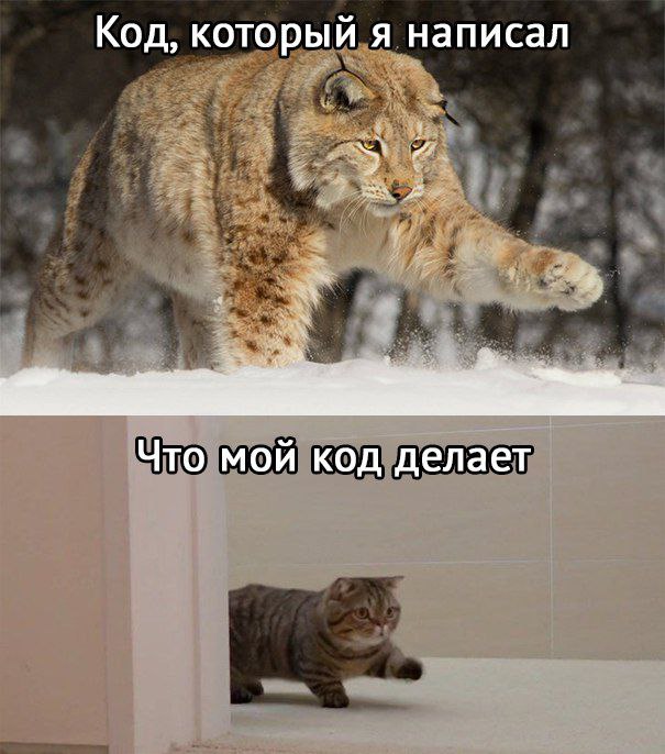 #js #javascript #nodejs #backend #frontend #tech #it #humor #developer #meme | Сетка — социальная сеть от hh.ru