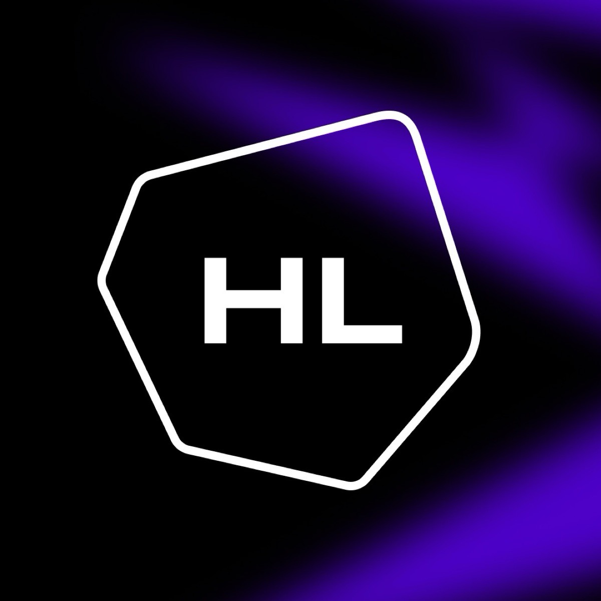 Сетка на HighLoad++ 2024