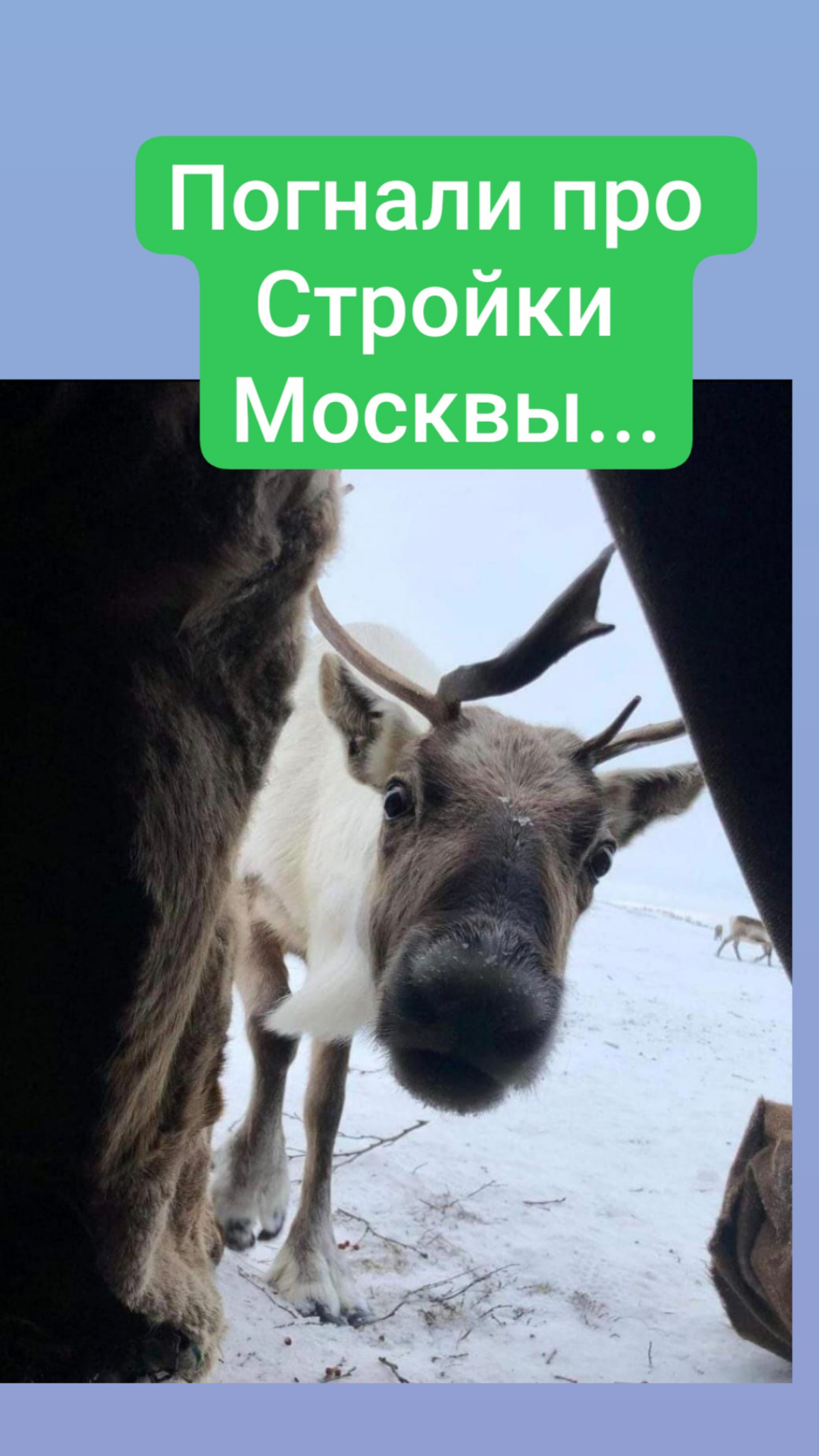 Москва 🌟 - уникальное предложение для молодых семей! | Сетка — социальная сеть от hh.ru
