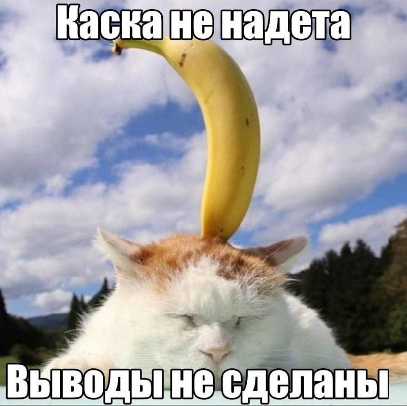 то чувство, когда не дали расписаться в технике безопасности при посещении объекта😩 | Сетка — социальная сеть от hh.ru