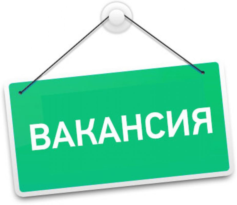 Привет, Сетка. Setka, privet.
Готова подборка горячих и актуальных #вакансии для #удаленнаяработа
Отмечу, что есть варианты с опытом работы, так и без опыта | Сетка — социальная сеть от hh.ru