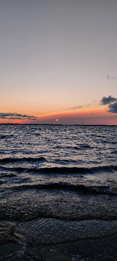 Сетка — социальная сеть от hh.ru