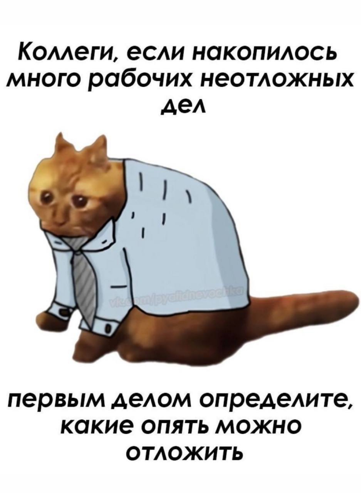 В последнее время так и есть😅 | Сетка — социальная сеть от hh.ru