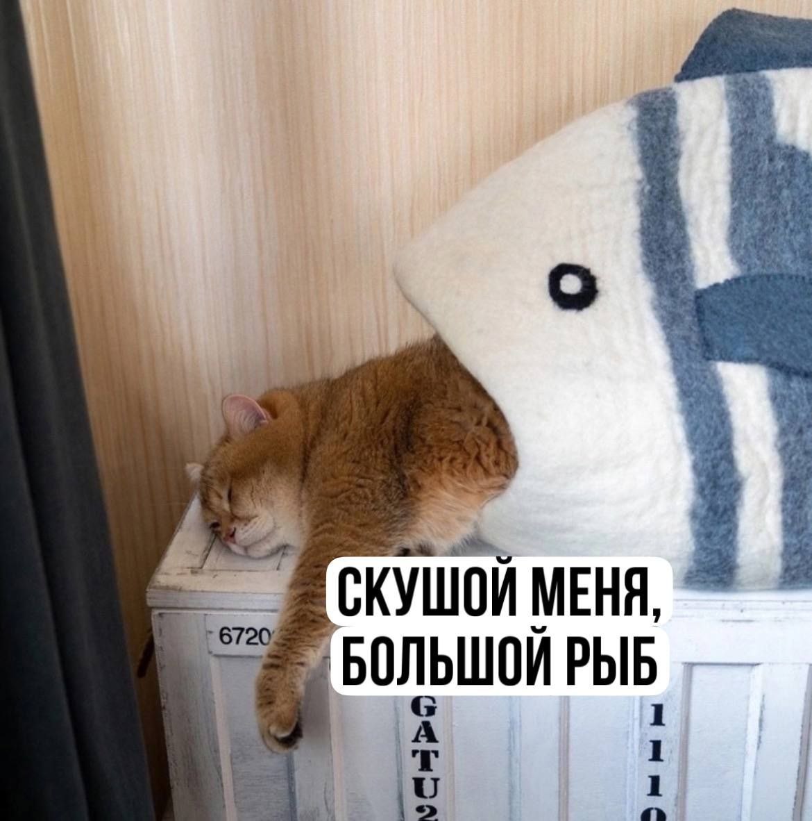 С пятницей, друзья!
Держитесь, проявите упорство, стойкость и не сдавайтесь. Осталось сделать последний рывок перед наступлением заслуженных выходных! 💪 | Сетка — социальная сеть от hh.ru