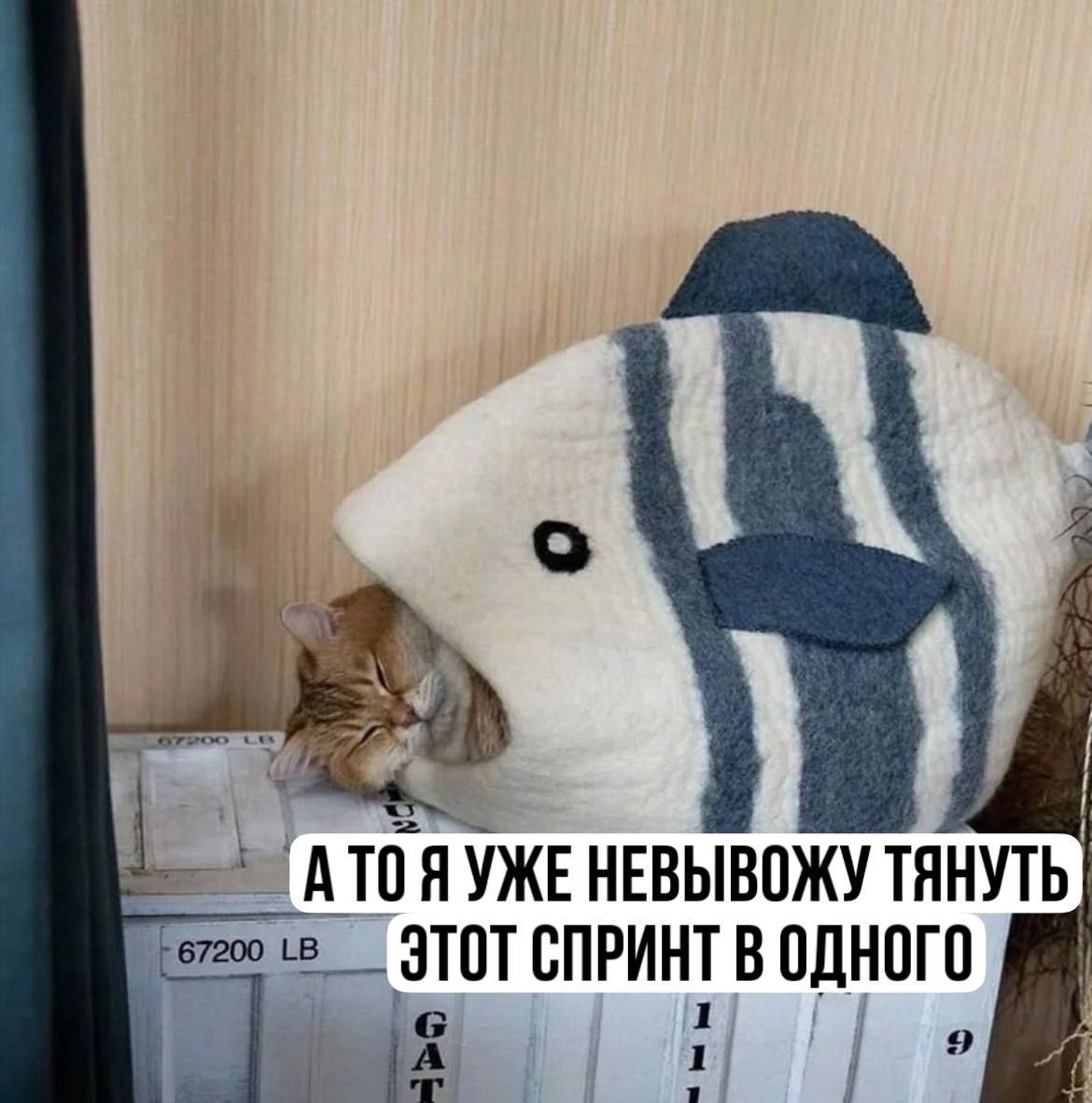 С пятницей, друзья!
Держитесь, проявите упорство, стойкость и не сдавайтесь. Осталось сделать последний рывок перед наступлением заслуженных выходных! 💪 | Сетка — социальная сеть от hh.ru