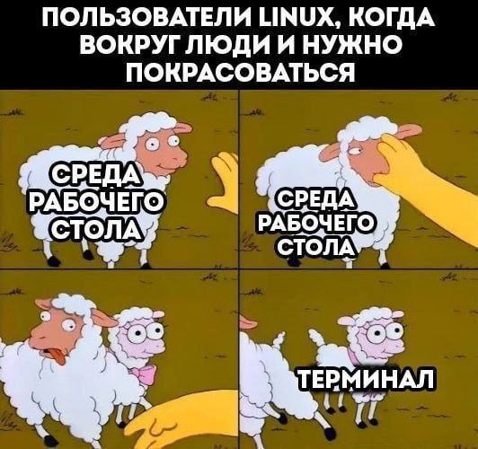 🚀@itaxaxa | Сетка — социальная сеть от hh.ru
