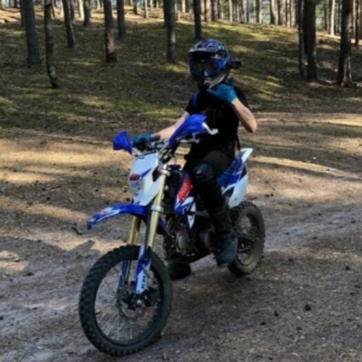 Аркадий Виноградов